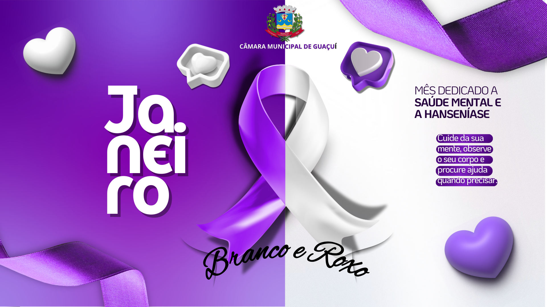 JANEIRO BRANCO & JANEIRO ROXO.